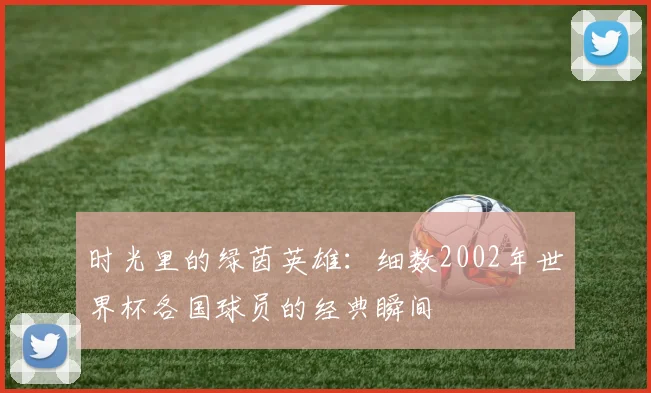 时光里的绿茵英雄：细数2002年世界杯各国球员的经典瞬间