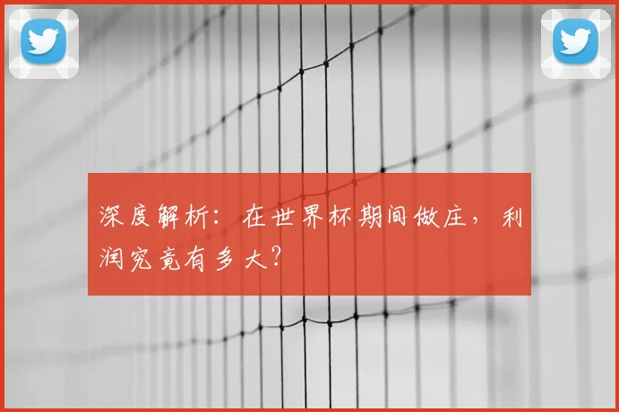 深度解析:在世界杯期间做庄,利润究竟有多大?
